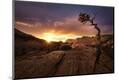 Photographic Print