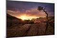 Photographic Print