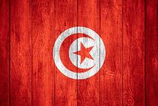 Flag Of Tunisia-Miro Novak-Art Print