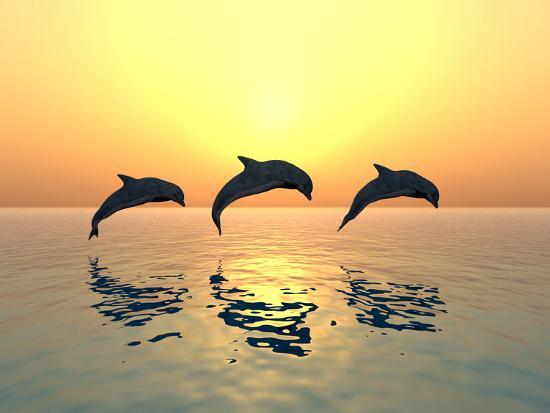 Photographic Print, , large