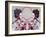 Mirror Geisha-Abstract Graffiti-Framed Giclee Print