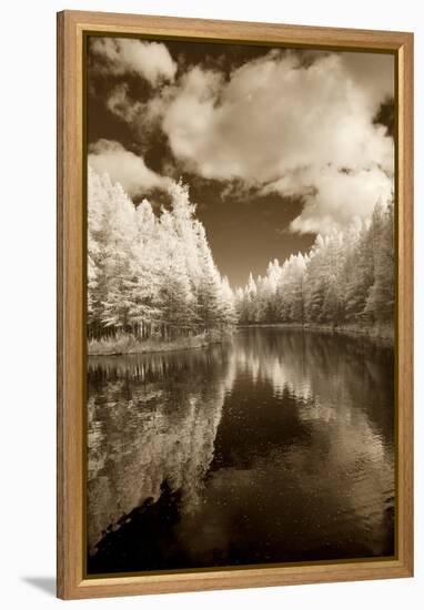 Mirror Of Heaven, Palms Book State Park, Michigan '12-Monte Nagler-Framed Premier Image Canvas