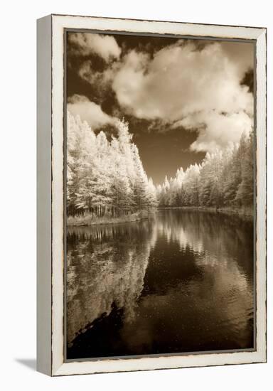 Mirror Of Heaven, Palms Book State Park, Michigan '12-Monte Nagler-Framed Premier Image Canvas