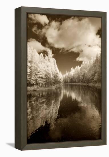 Mirror Of Heaven, Palms Book State Park, Michigan '12-Monte Nagler-Framed Premier Image Canvas