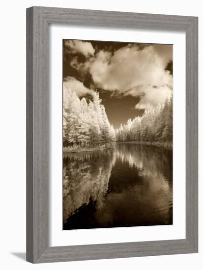 Mirror Of Heaven, Palms Book State Park, Michigan '12-Monte Nagler-Framed Photographic Print