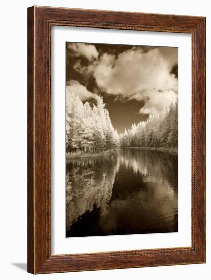 Mirror Of Heaven, Palms Book State Park, Michigan '12-Monte Nagler-Framed Photographic Print