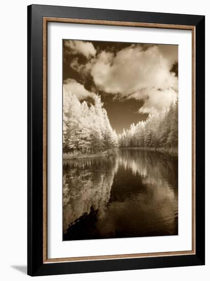 Mirror Of Heaven, Palms Book State Park, Michigan '12-Monte Nagler-Framed Photographic Print