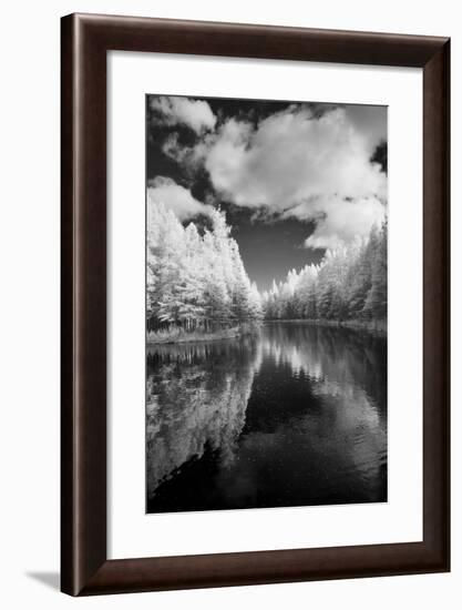 Mirror Of Heaven, Palms Book State Park, Michigan '12-Monte Nagler-Framed Photographic Print
