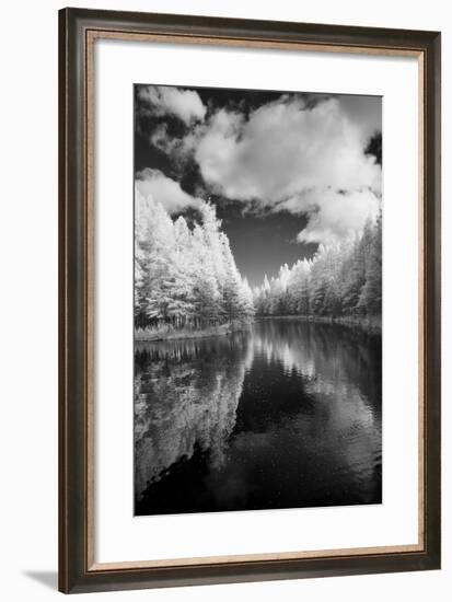 Mirror Of Heaven, Palms Book State Park, Michigan '12-Monte Nagler-Framed Photographic Print