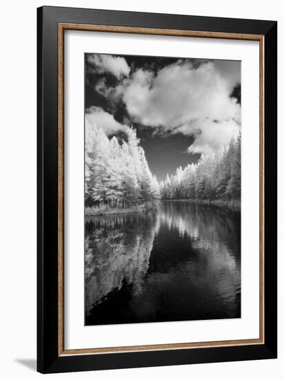 Mirror Of Heaven, Palms Book State Park, Michigan '12-Monte Nagler-Framed Photographic Print