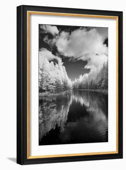 Mirror Of Heaven, Palms Book State Park, Michigan '12-Monte Nagler-Framed Photographic Print