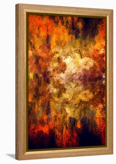 Mirror of the Soul-Philippe Sainte-Laudy-Framed Premier Image Canvas