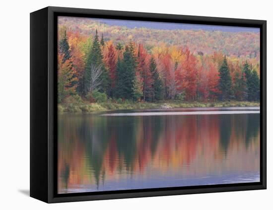 Mirror Reflection of Autumn Colors in McAllister Lake, Vermont, USA-Adam Jones-Framed Premier Image Canvas