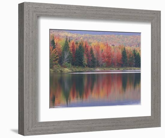 Mirror Reflection of Autumn Colors in McAllister Lake, Vermont, USA-Adam Jones-Framed Photographic Print