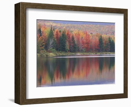 Mirror Reflection of Autumn Colors in McAllister Lake, Vermont, USA-Adam Jones-Framed Photographic Print