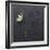 Mirror-Camille Soulayrol-Framed Giclee Print