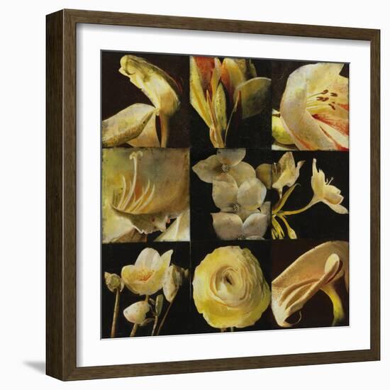 Mirrored Blossoms I-Douglas-Framed Giclee Print