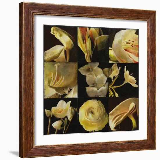 Mirrored Blossoms I-Douglas-Framed Giclee Print