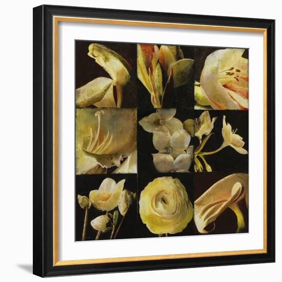 Mirrored Blossoms I-Douglas-Framed Giclee Print