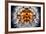 Mirrored Dandelion-Andy Bell-Framed Photographic Print