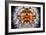 Mirrored Dandelion-Andy Bell-Framed Photographic Print