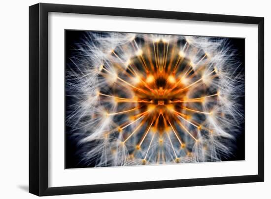 Mirrored Dandelion-Andy Bell-Framed Photographic Print