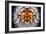 Mirrored Dandelion-Andy Bell-Framed Photographic Print