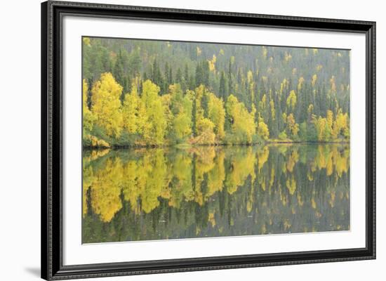 Mirrored Reflections-Staffan Widstrand-Framed Giclee Print