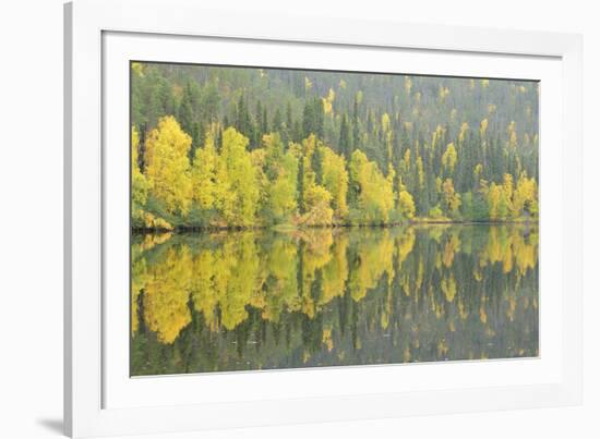 Mirrored Reflections-Staffan Widstrand-Framed Giclee Print