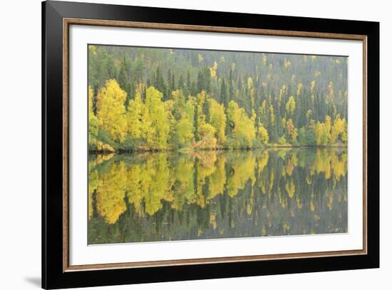 Mirrored Reflections-Staffan Widstrand-Framed Giclee Print