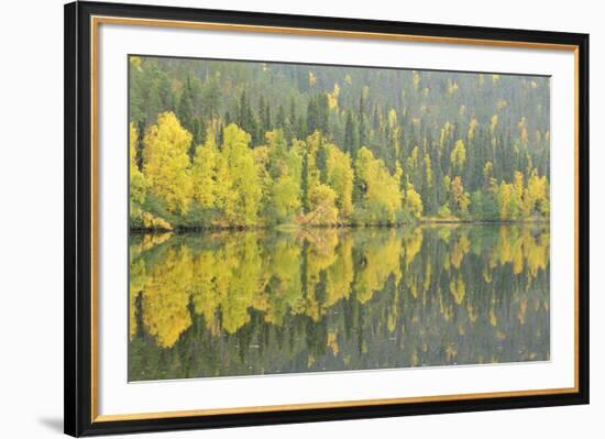 Mirrored Reflections-Staffan Widstrand-Framed Giclee Print