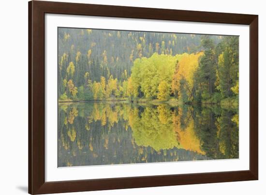 Mirrored Vista-Staffan Widstrand-Framed Giclee Print