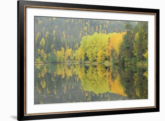 Mirrored Vista-Staffan Widstrand-Framed Giclee Print