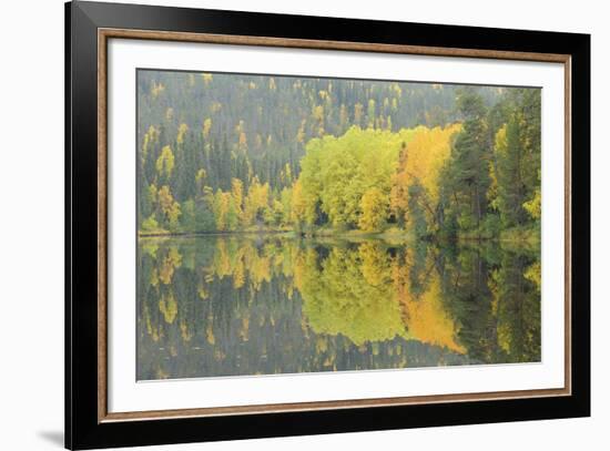 Mirrored Vista-Staffan Widstrand-Framed Giclee Print