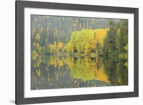 Mirrored Vista-Staffan Widstrand-Framed Giclee Print