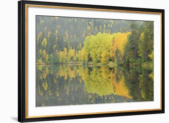Mirrored Vista-Staffan Widstrand-Framed Giclee Print
