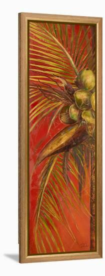 Mis Cocos I-Patricia Pinto-Framed Stretched Canvas