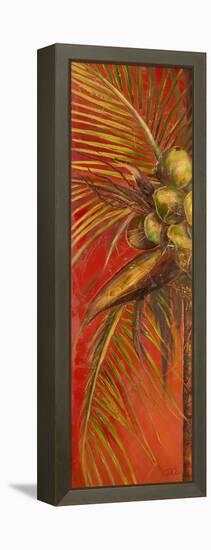 Mis Cocos I-Patricia Pinto-Framed Stretched Canvas