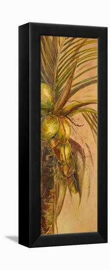 Mis Cocos II-Patricia Pinto-Framed Stretched Canvas