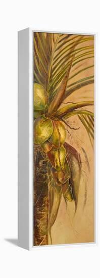 Mis Cocos II-Patricia Pinto-Framed Stretched Canvas