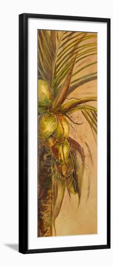 Mis Cocos II-Patricia Pinto-Framed Art Print