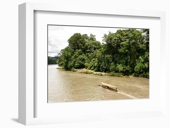 Misahualli in The Oriente, head of navigation on Rio Napo (Amazon), Ecuador, South America-Tony Waltham-Framed Photographic Print