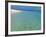 Misali Island and Surrounding Reef, known as Misali Island Marine Conservation Area, Zanzibar-Paul Harris-Framed Photographic Print