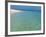 Misali Island and Surrounding Reef, known as Misali Island Marine Conservation Area, Zanzibar-Paul Harris-Framed Photographic Print