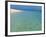 Misali Island and Surrounding Reef, known as Misali Island Marine Conservation Area, Zanzibar-Paul Harris-Framed Photographic Print