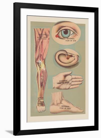 Art Print, , large