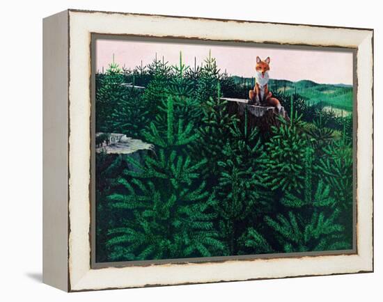 Mischevious Red Fox-Stan Galli-Framed Premier Image Canvas