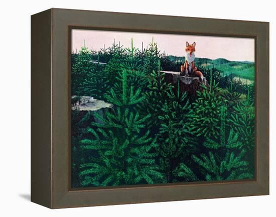 Mischevious Red Fox-Stan Galli-Framed Premier Image Canvas