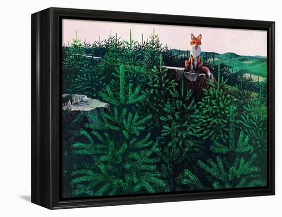 Mischevious Red Fox-Stan Galli-Framed Premier Image Canvas