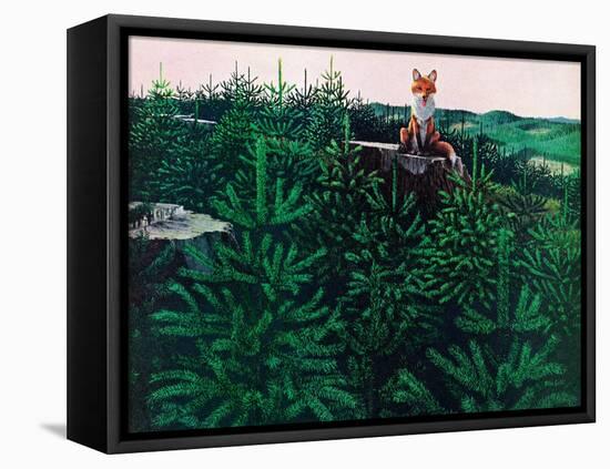 Mischevious Red Fox-Stan Galli-Framed Premier Image Canvas